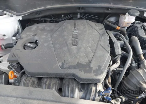 2024 Kia Sportage X-Line из США, поврежденный, VIN 5XYK6CDF3RG148996